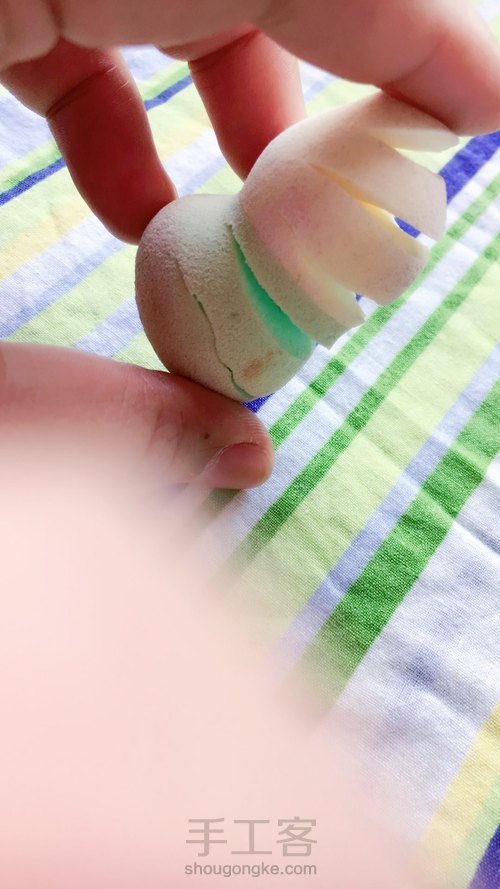 🌱粉扑育苗 第4步