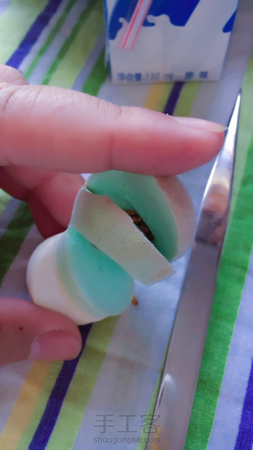 🌱粉扑育苗 第6步