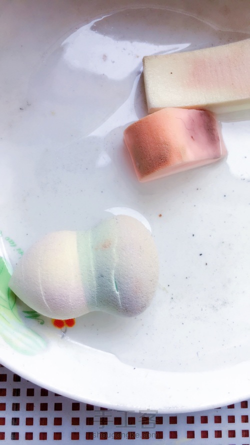 🌱粉扑育苗 第7步