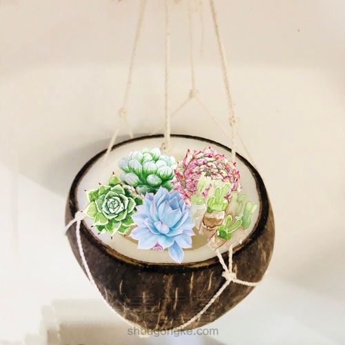 🎐文艺满满的椰子吊盆🥥 第1步