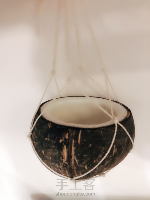 🎐文艺满满的椰子吊盆🥥 第13步