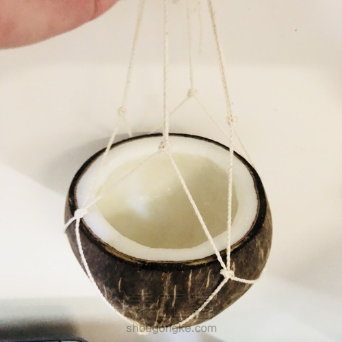 🎐文艺满满的椰子吊盆🥥 第14步