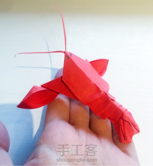 (动物系列）小龙虾折法 第33步