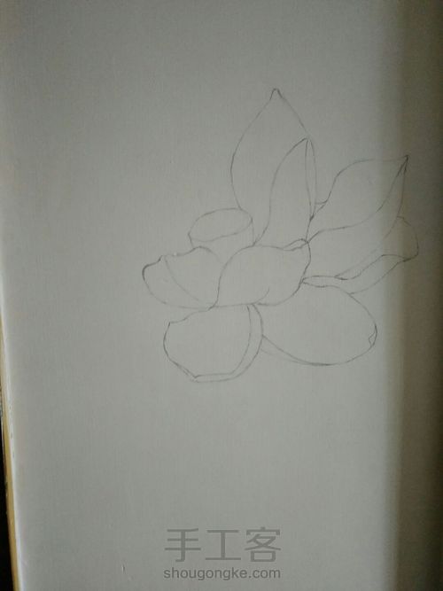 墙绘荷花 第3步