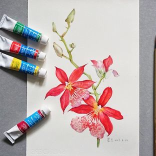 墨兰花水彩画教程