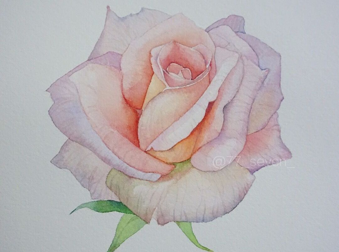 玫瑰花的颜色非常丰富，这次我们先学习一下淡淡的颜色的花朵画法。玫瑰花在画的时候是一层一层的，要画出花瓣的纹理感，注意冷暖颜色的变化。
关于我：高级UI设计师，插画师
喜欢画花卉类水彩，有兴趣的可以关注我的特训营噢，欢迎一起学习进步。