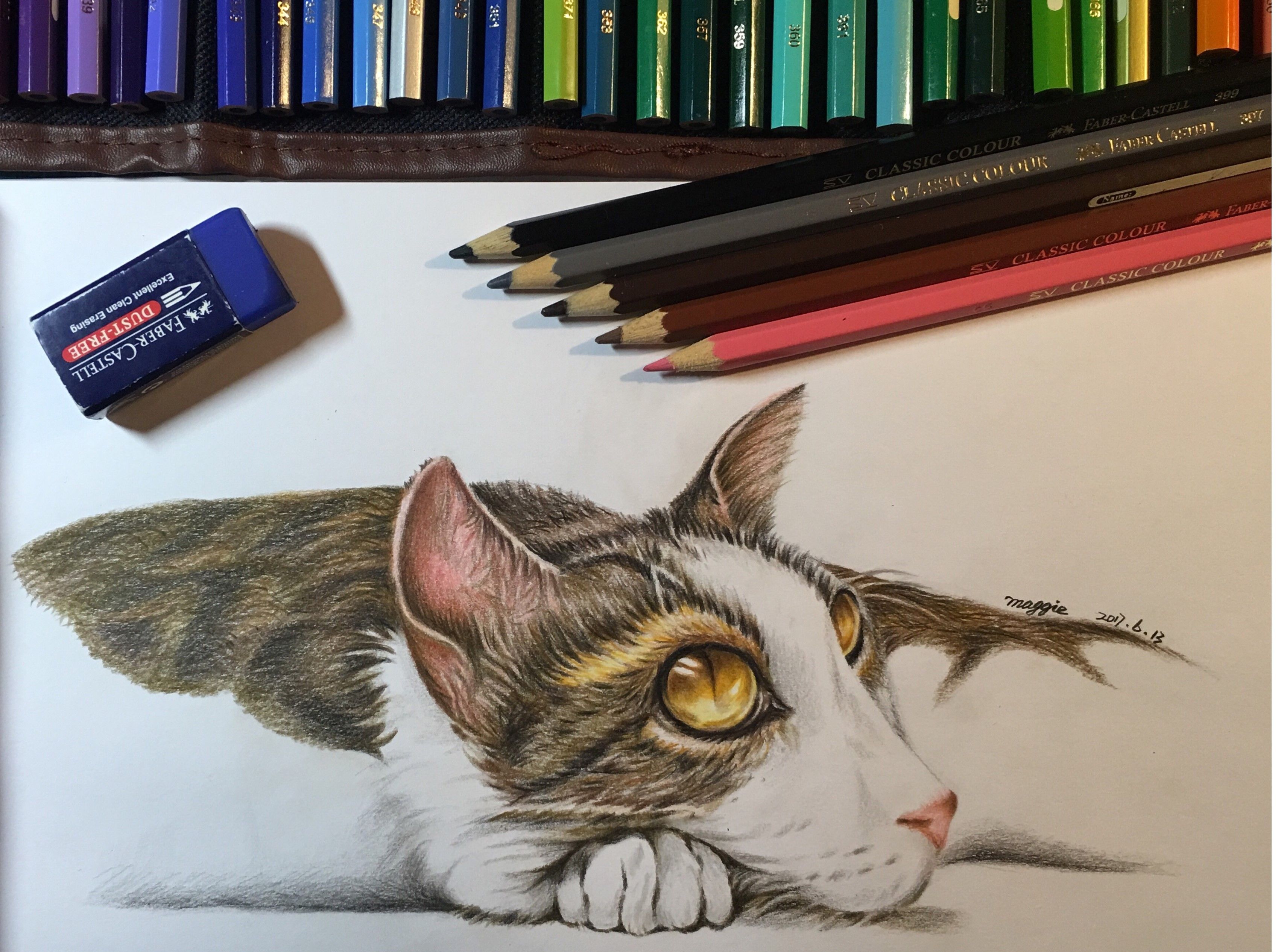 萌猫，彩铅手绘，前几个月的作品，整理了下教程