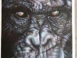 喷笔彩绘-黑猩猩