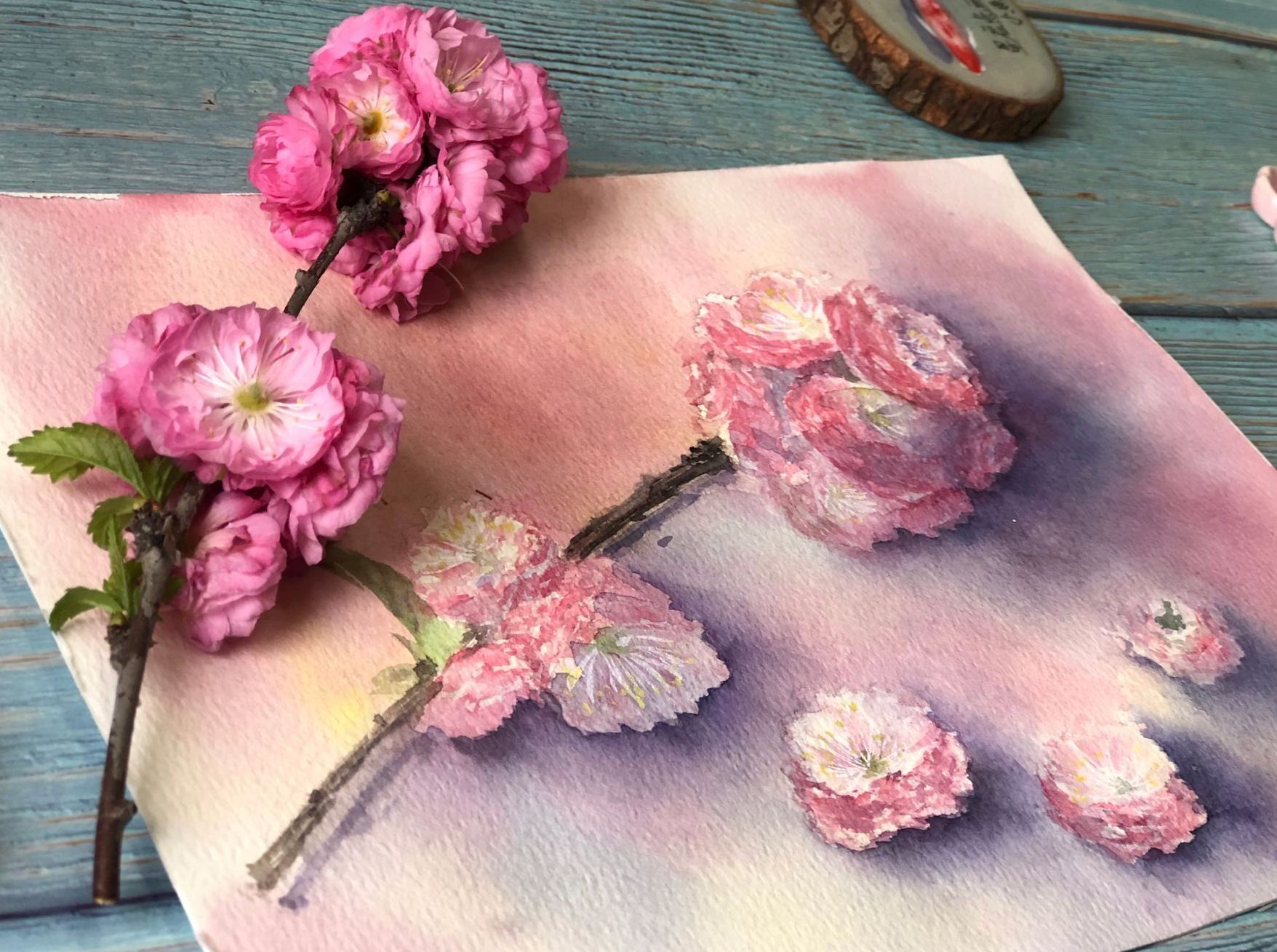 天气暖和起来，各种花朵也要竞相开放了，今天画的粉色碧桃花同样取材于画室外面的土坡。今天就要用水彩来画一次碧桃图！
