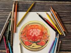 彩铅结合水彩手绘美食大闸蟹