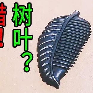 【DIY】树叶梳子？？
