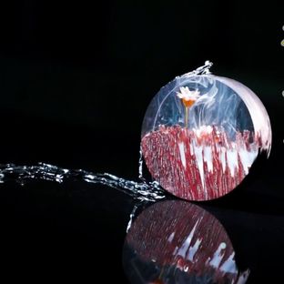 【DIY】木里看花