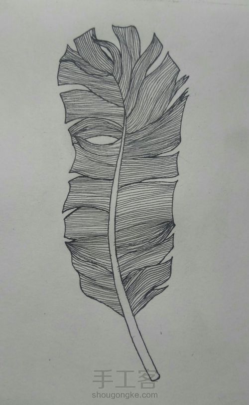打草稿第1步::制作步骤水笔铅笔橡皮:所需工具画纸:主要材料羽毛羽毛