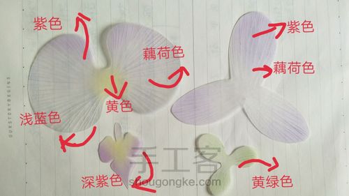 手工制作蝴蝶兰花教程图片